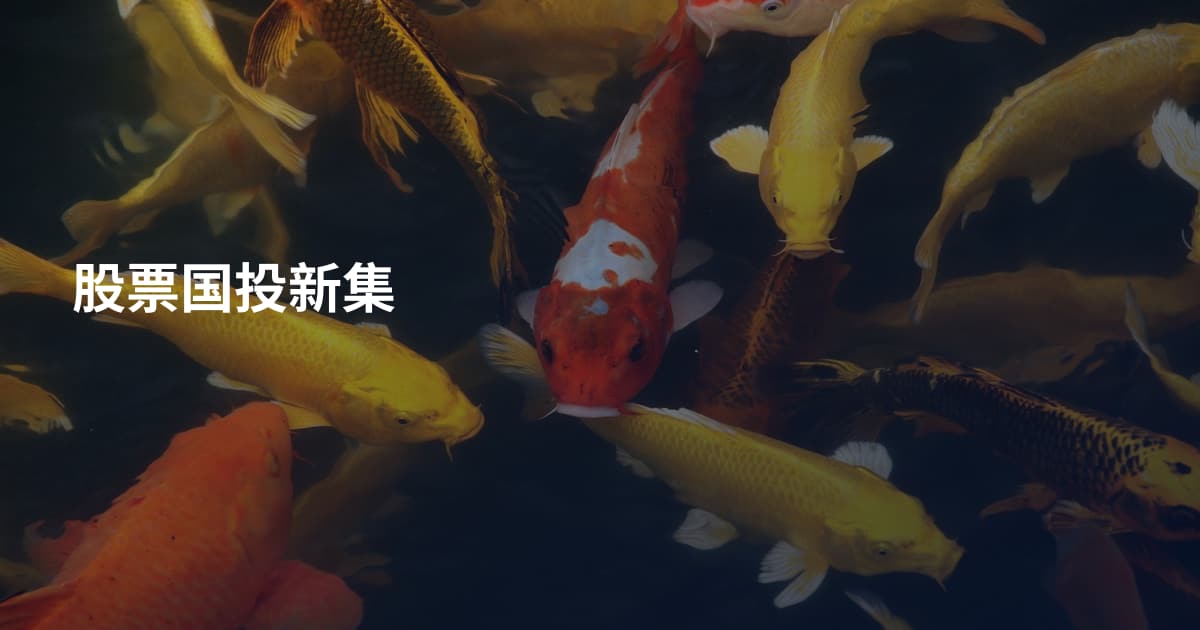 股票国投新集