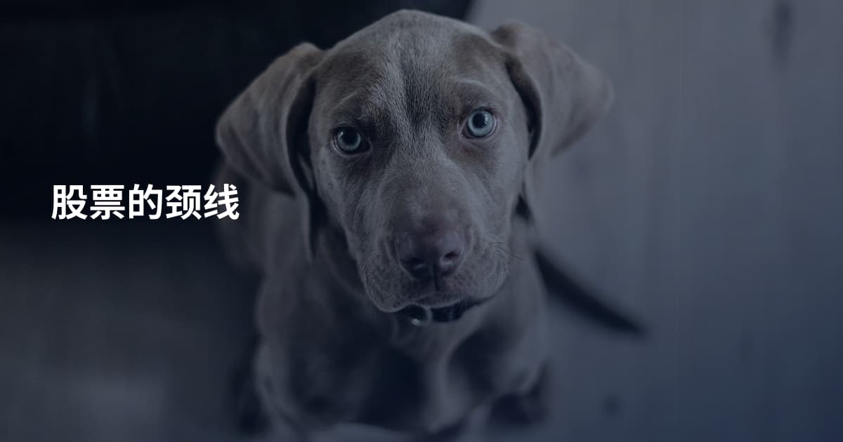 股票的颈线