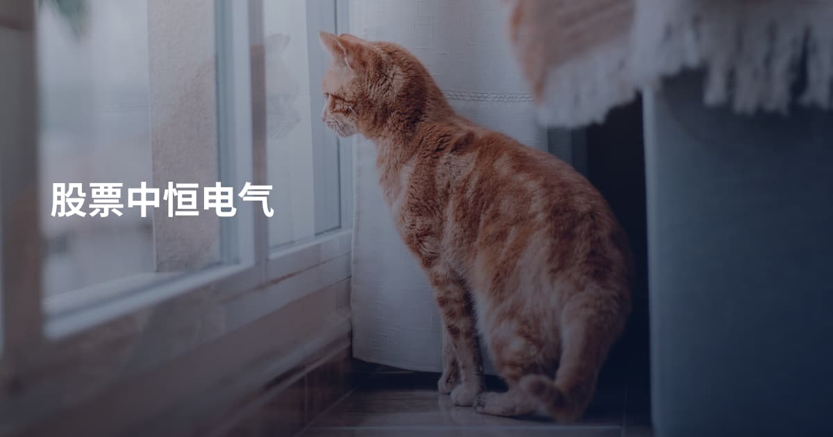 股票中恒电气