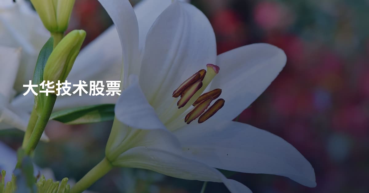 大华技术股票