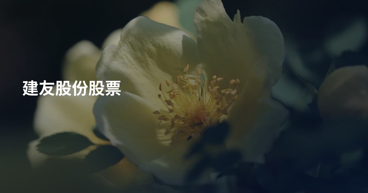 建友股份股票