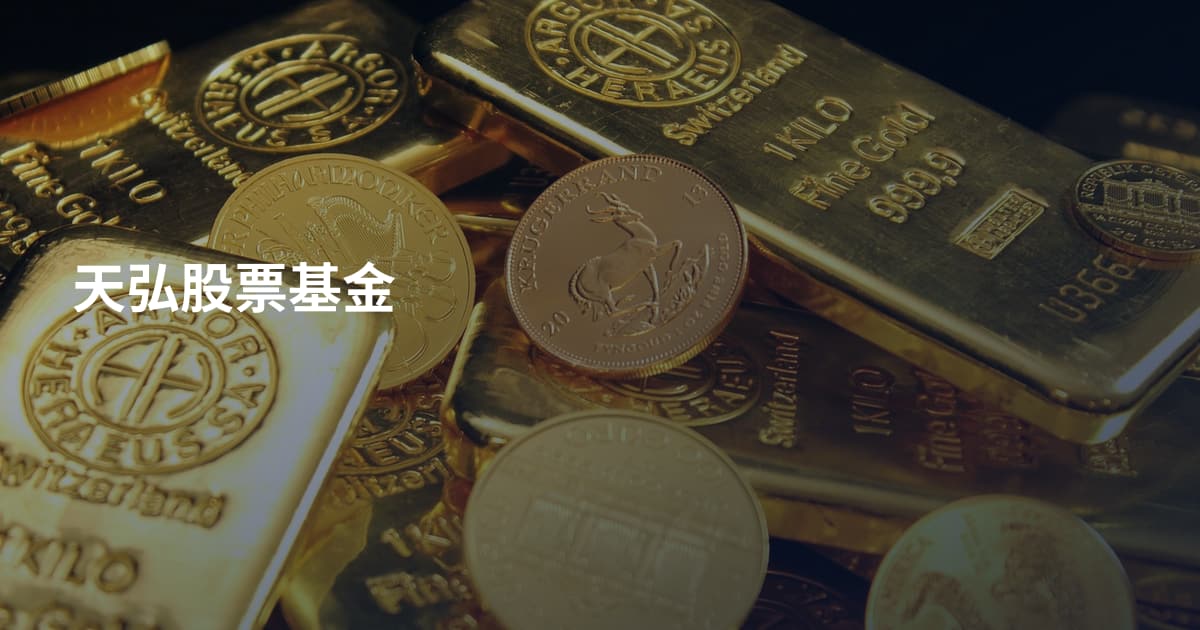 天弘股票基金