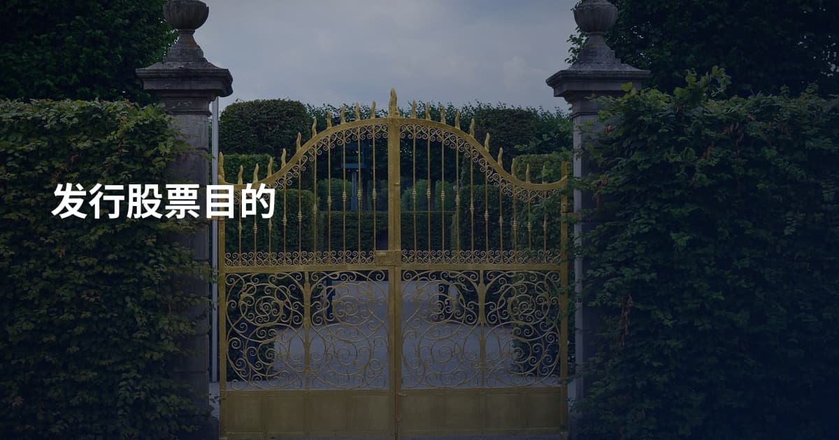 发行股票目的