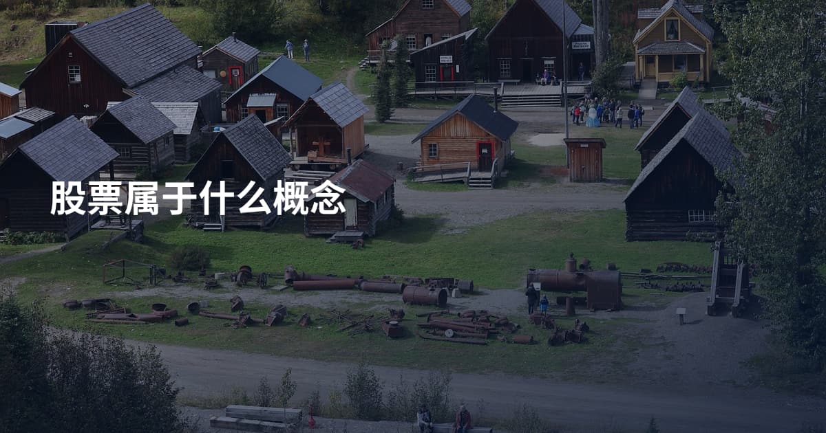 股票属于什么概念