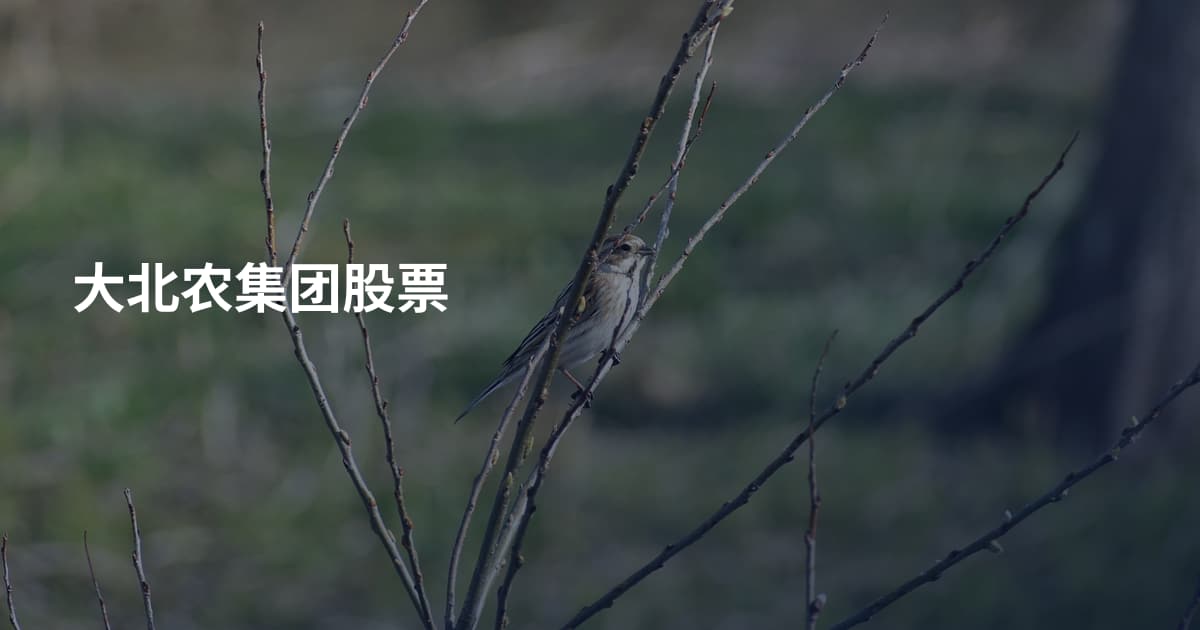 大北农集团股票