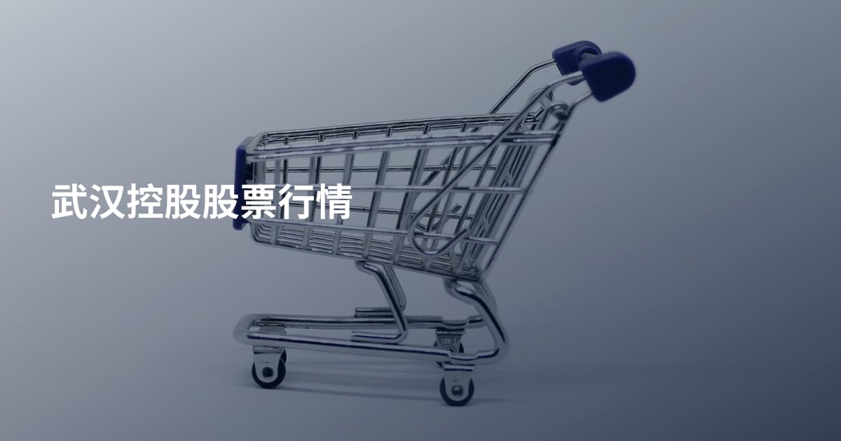 武汉控股股票行情
