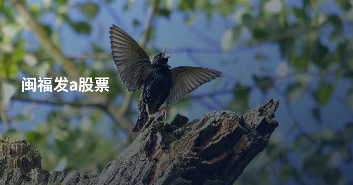 闽福发a股票