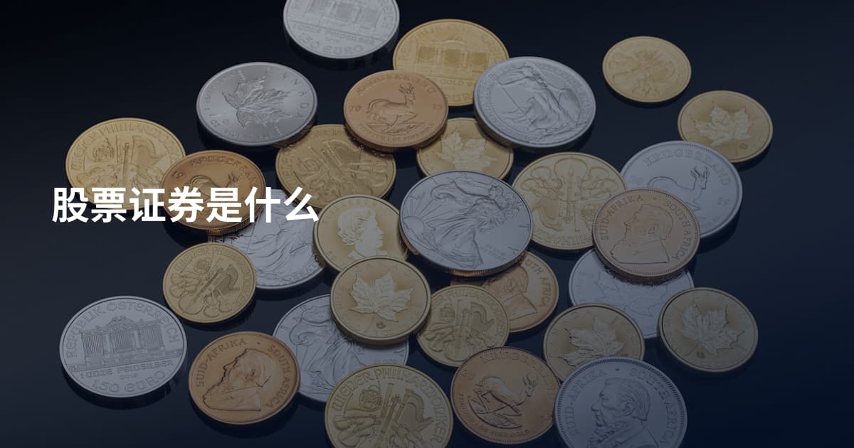 股票证券是什么