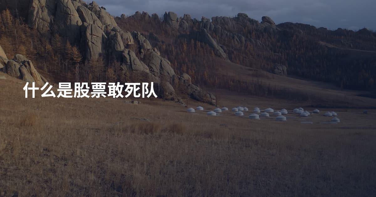 什么是股票敢死队