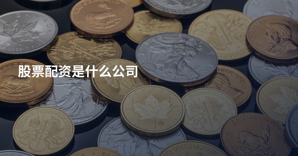 股票配资是什么公司