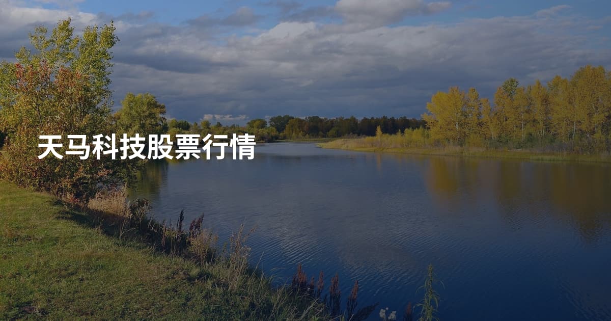 天马科技股票行情