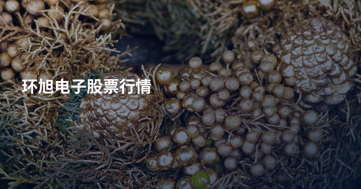 环旭电子股票行情