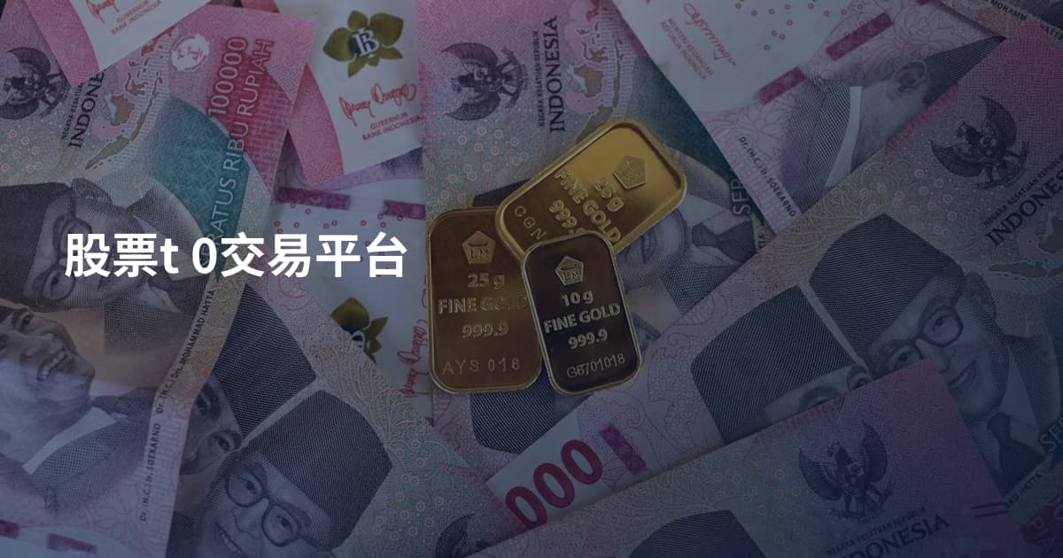 股票t 0交易平台