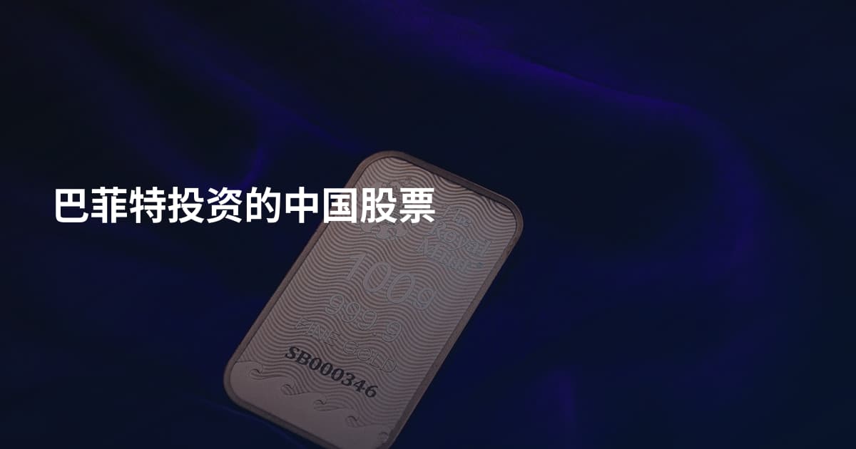 巴菲特投资的中国股票