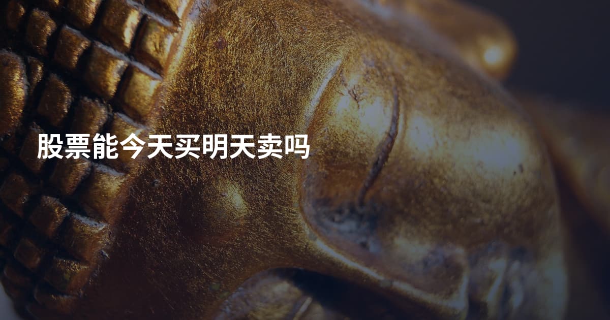 股票能今天买明天卖吗