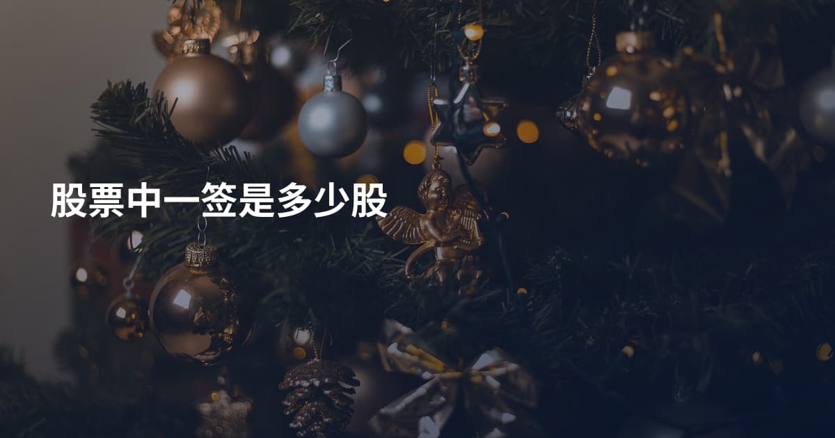 股票中一签是多少股