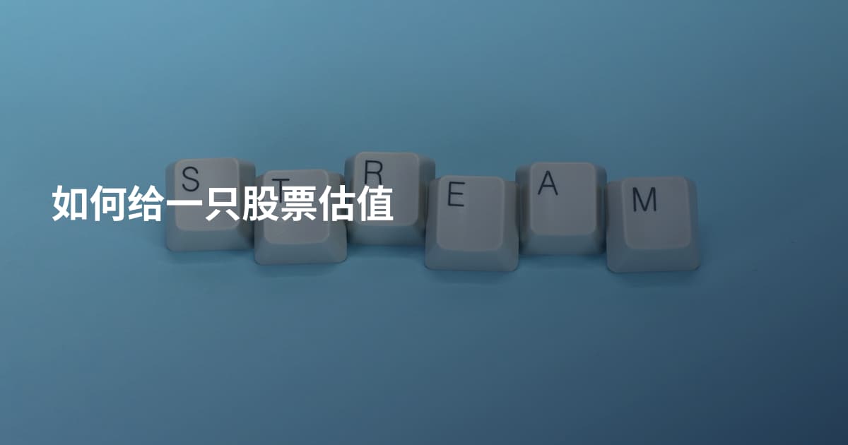 如何给一只股票估值