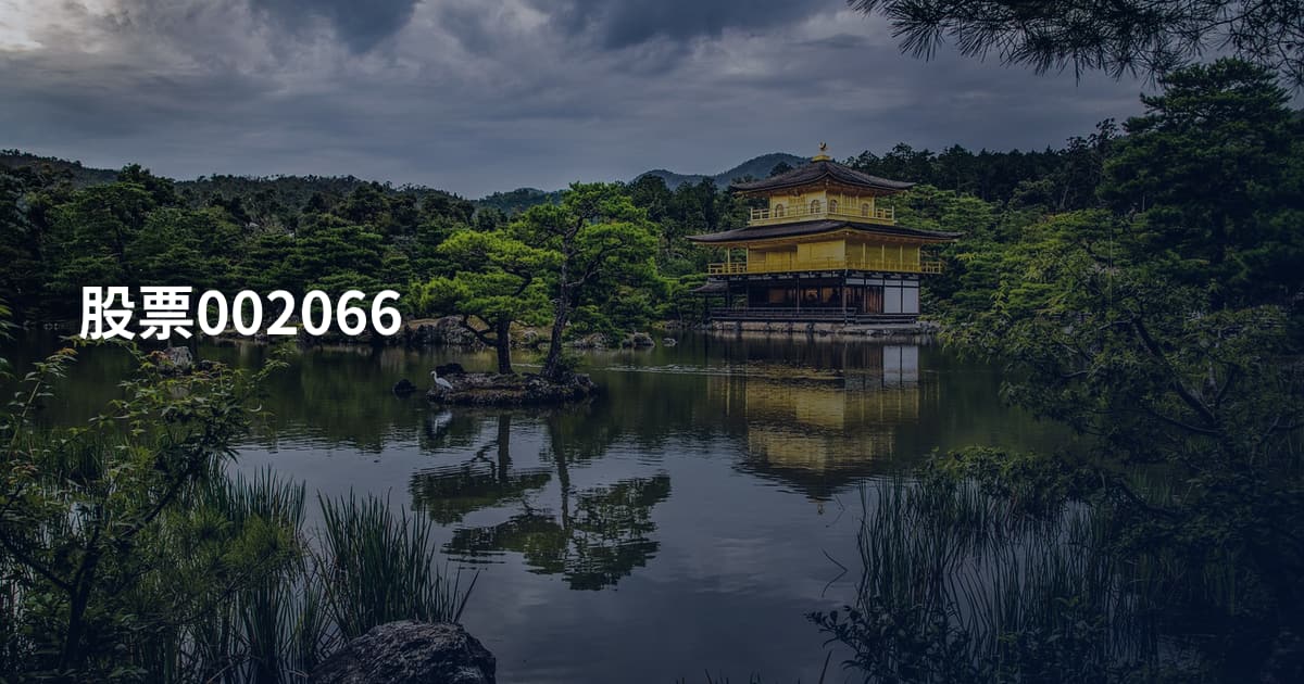 股票002066
