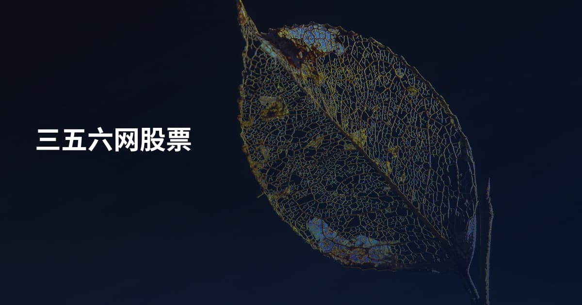 三五六网股票