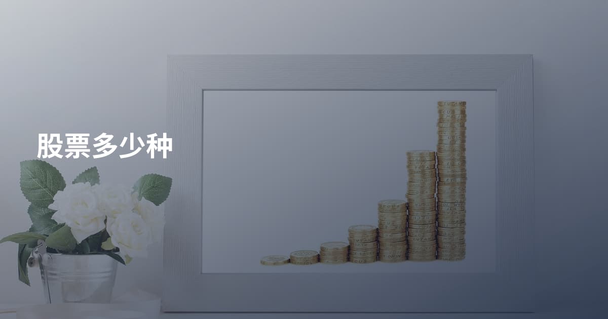 股票多少种