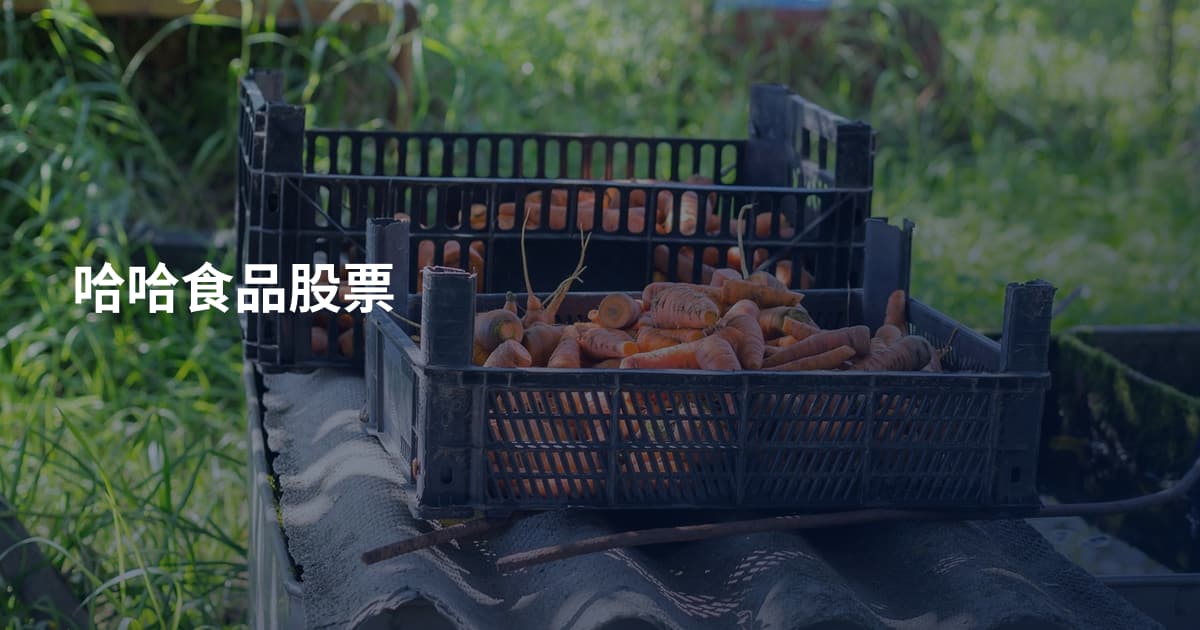 哈哈食品股票