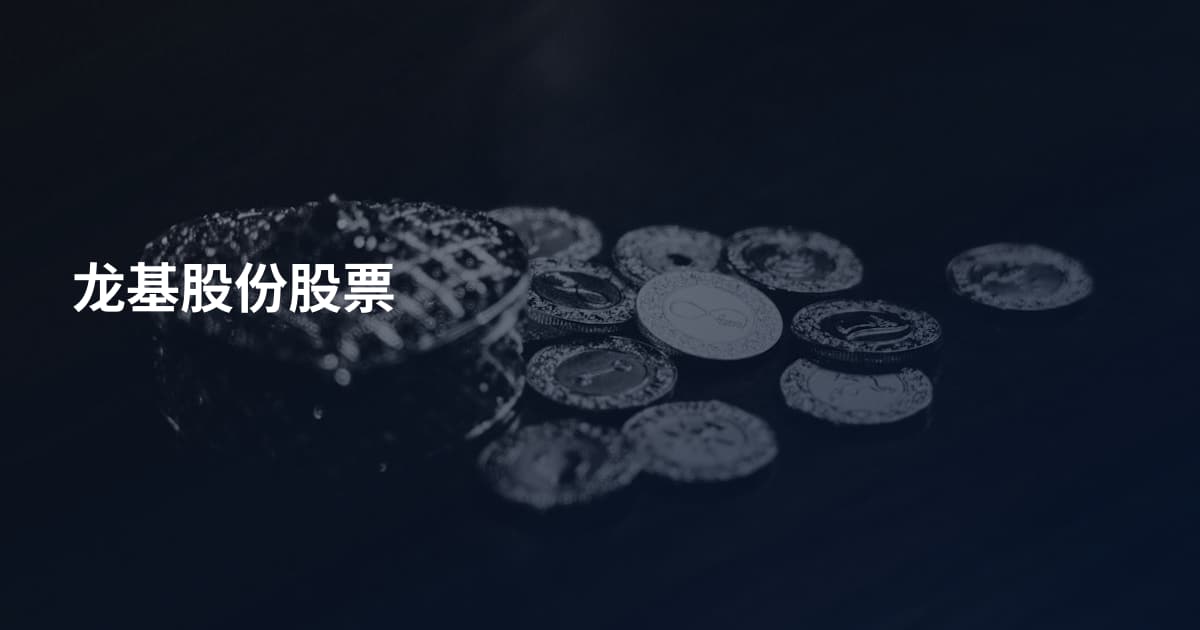 龙基股份股票