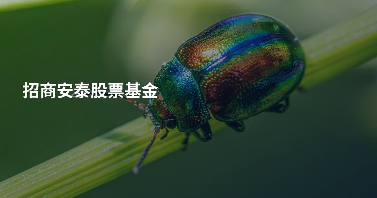 招商安泰股票基金