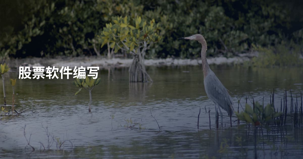 股票软件编写
