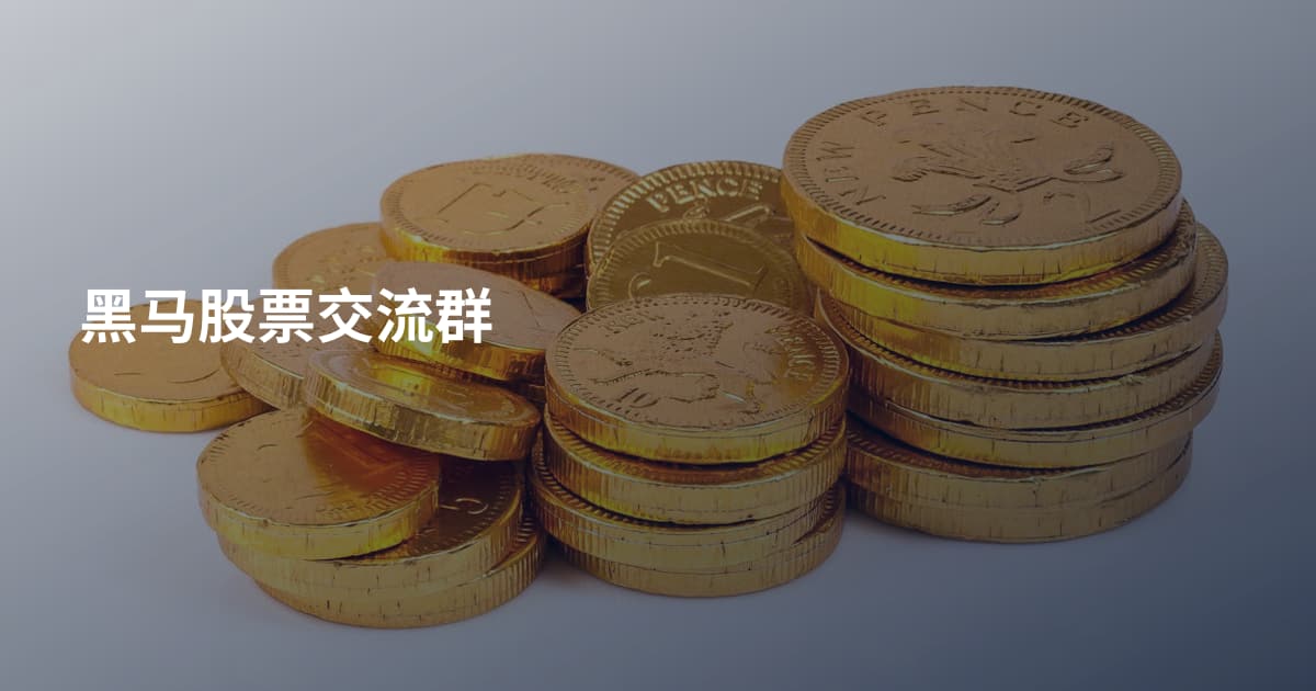 黑马股票交流群