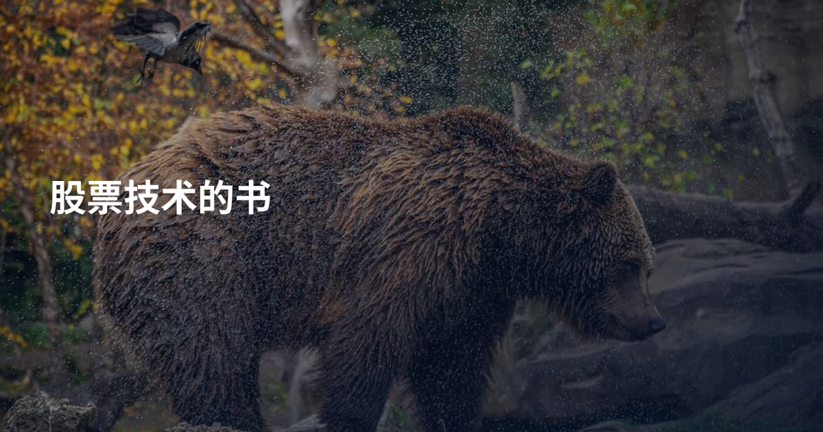 股票技术的书