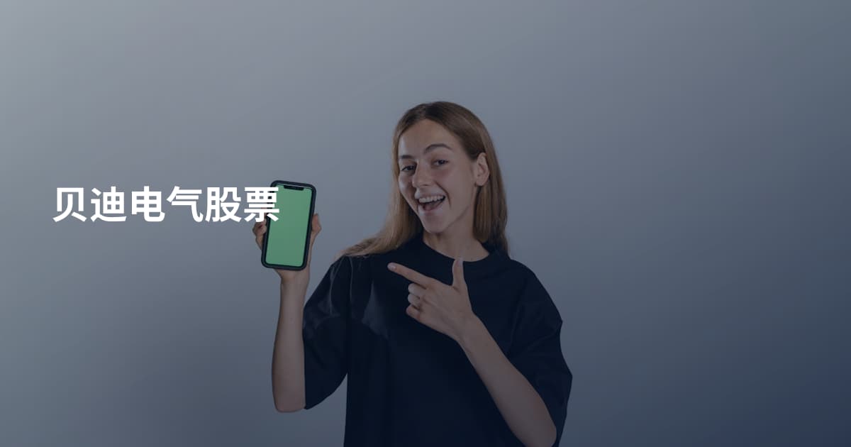 贝迪电气股票