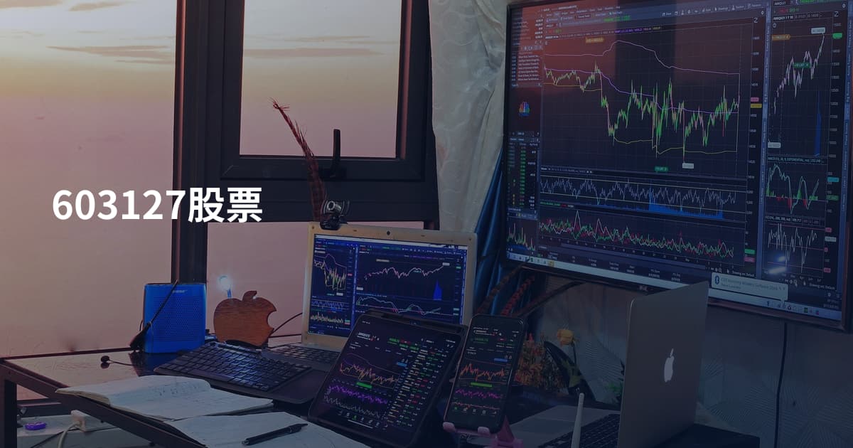 603127股票