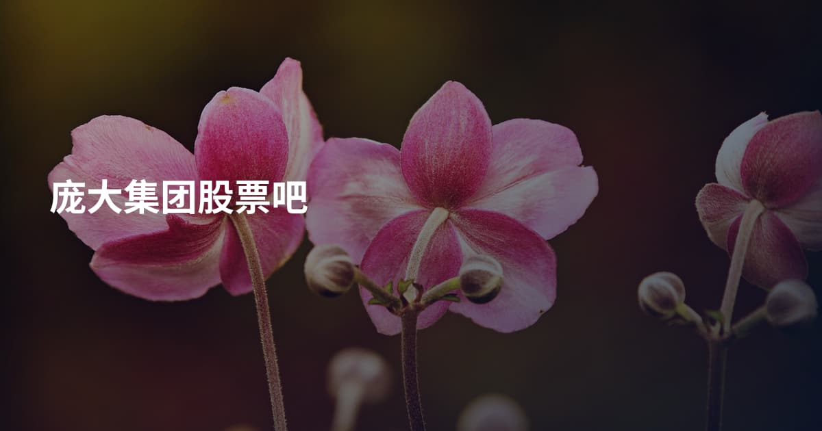 庞大集团股票吧