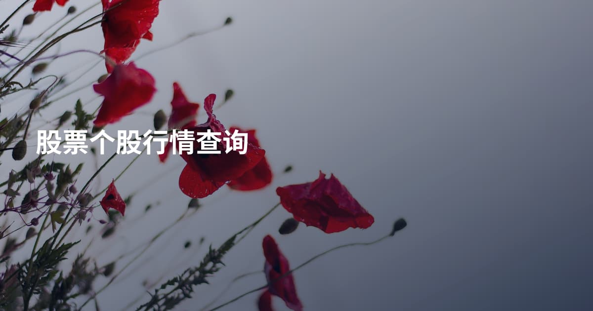 股票个股行情查询