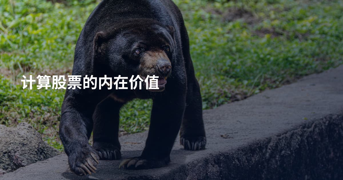 计算股票的内在价值