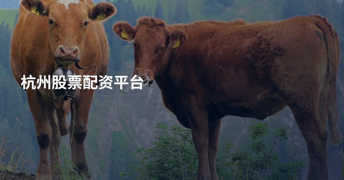 杭州股票配资平台