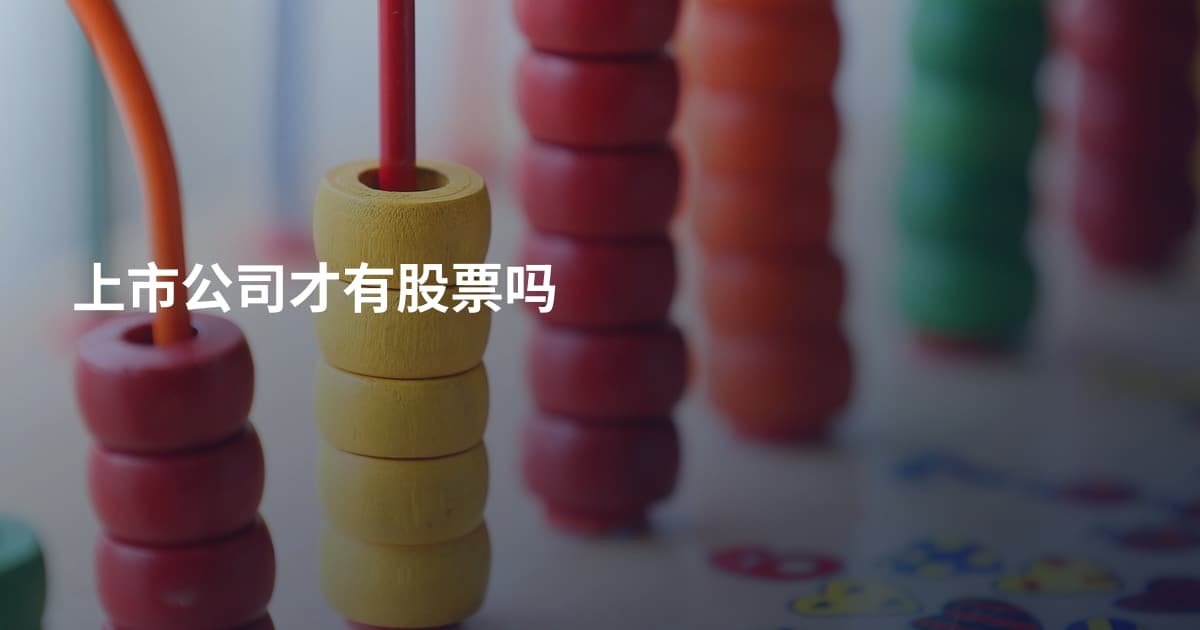 上市公司才有股票吗