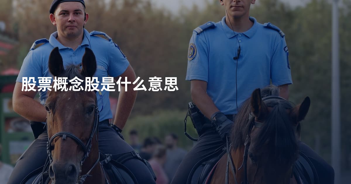 股票概念股是什么意思