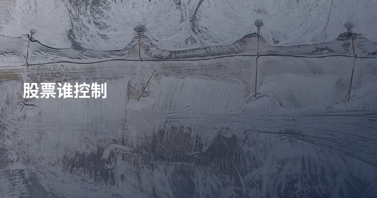 股票谁控制