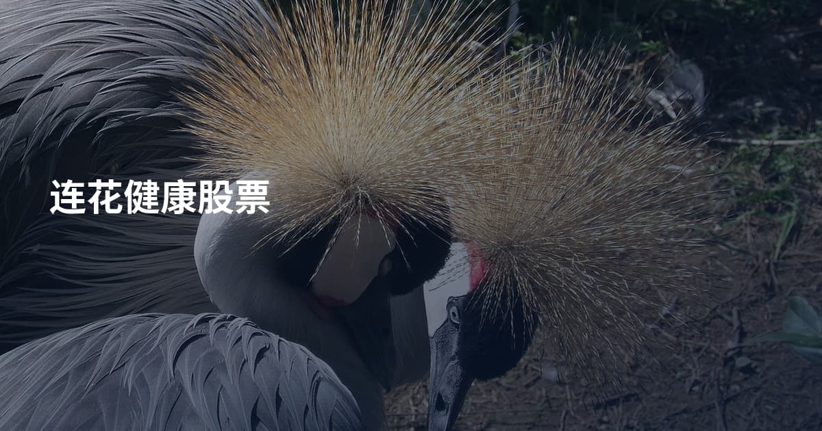 连花健康股票