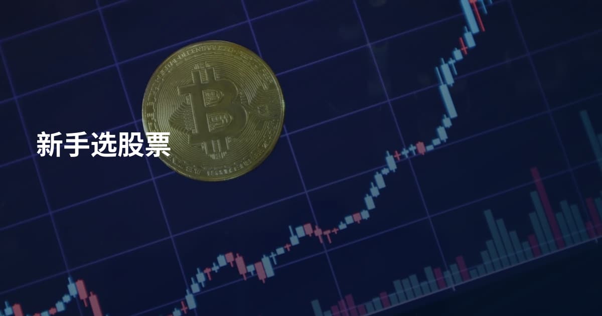 新手选股票