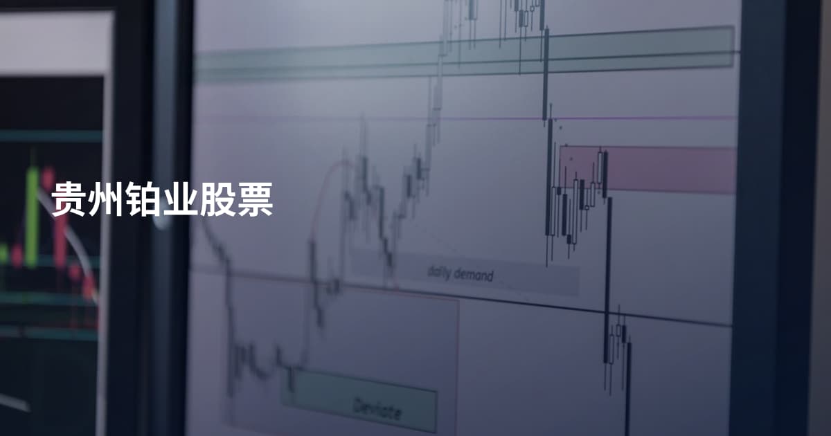 贵州铂业股票