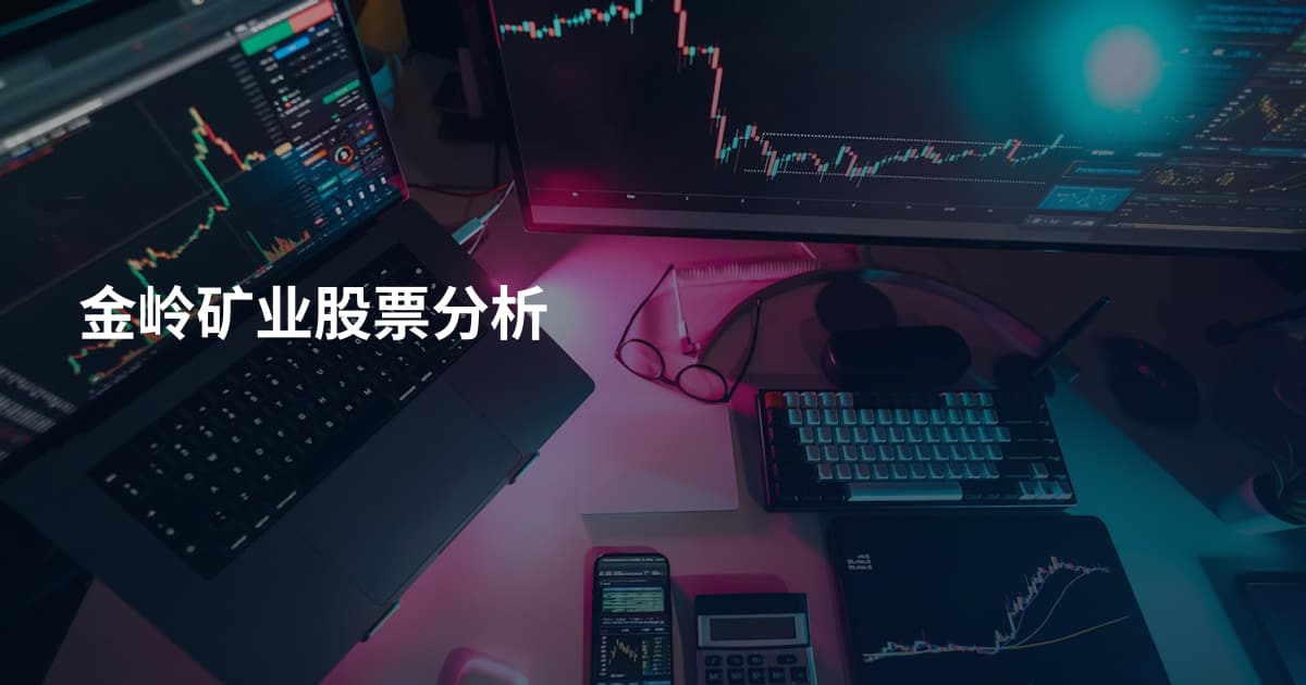 金岭矿业股票分析