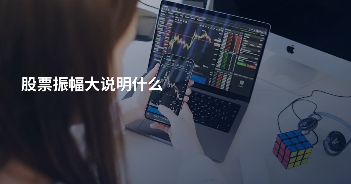 股票振幅大说明什么