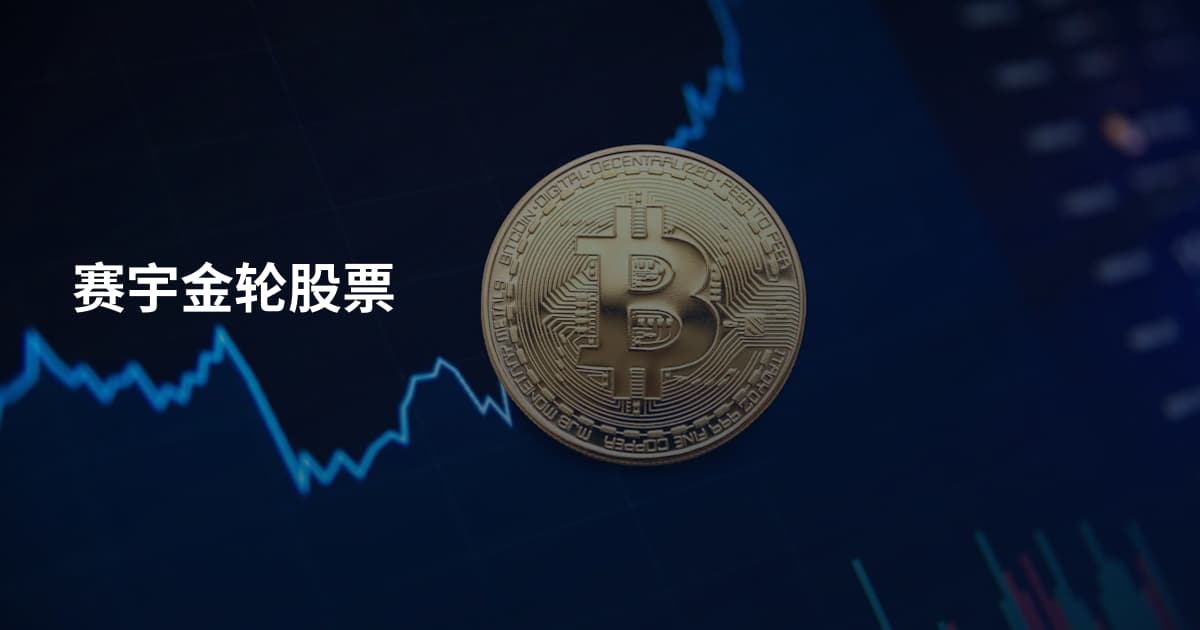 赛宇金轮股票