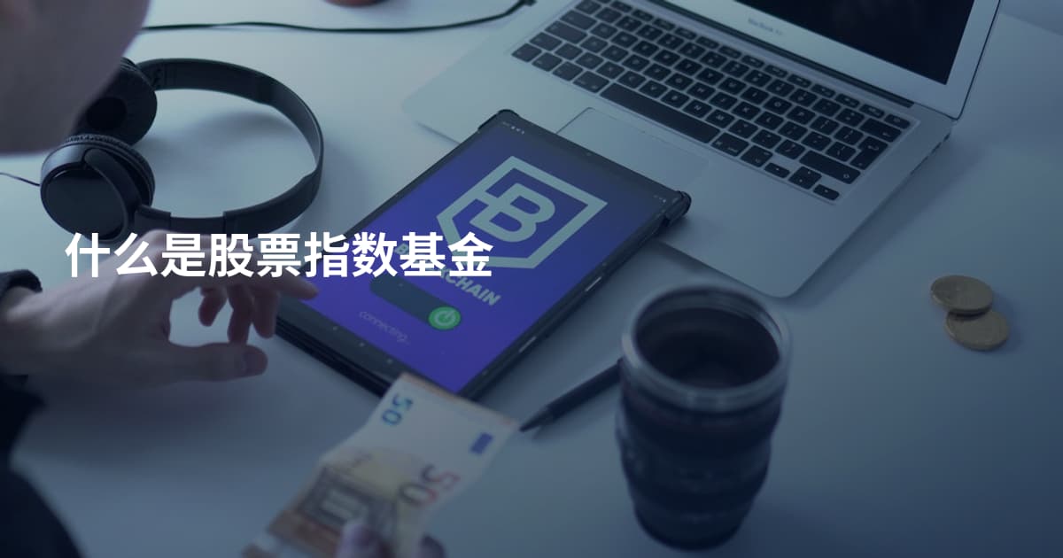 什么是股票指数基金
