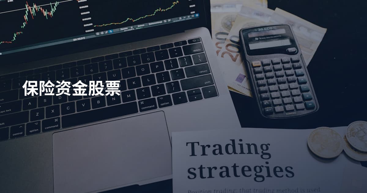 保险资金股票