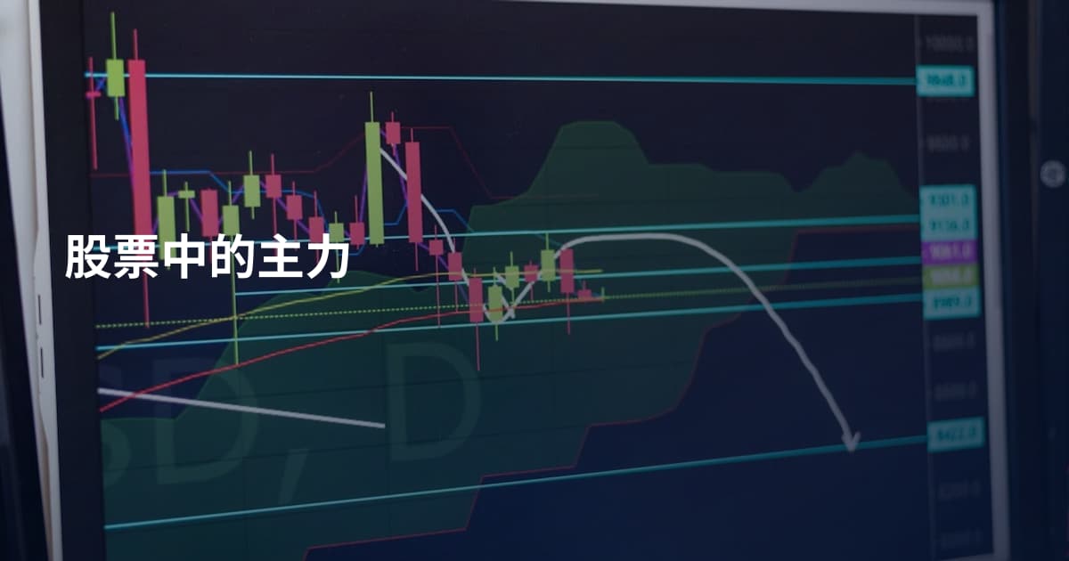 股票中的主力