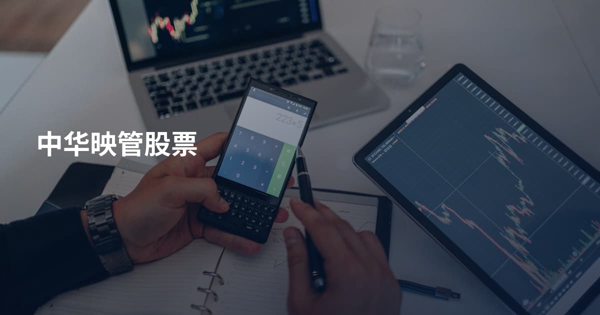 中华映管股票