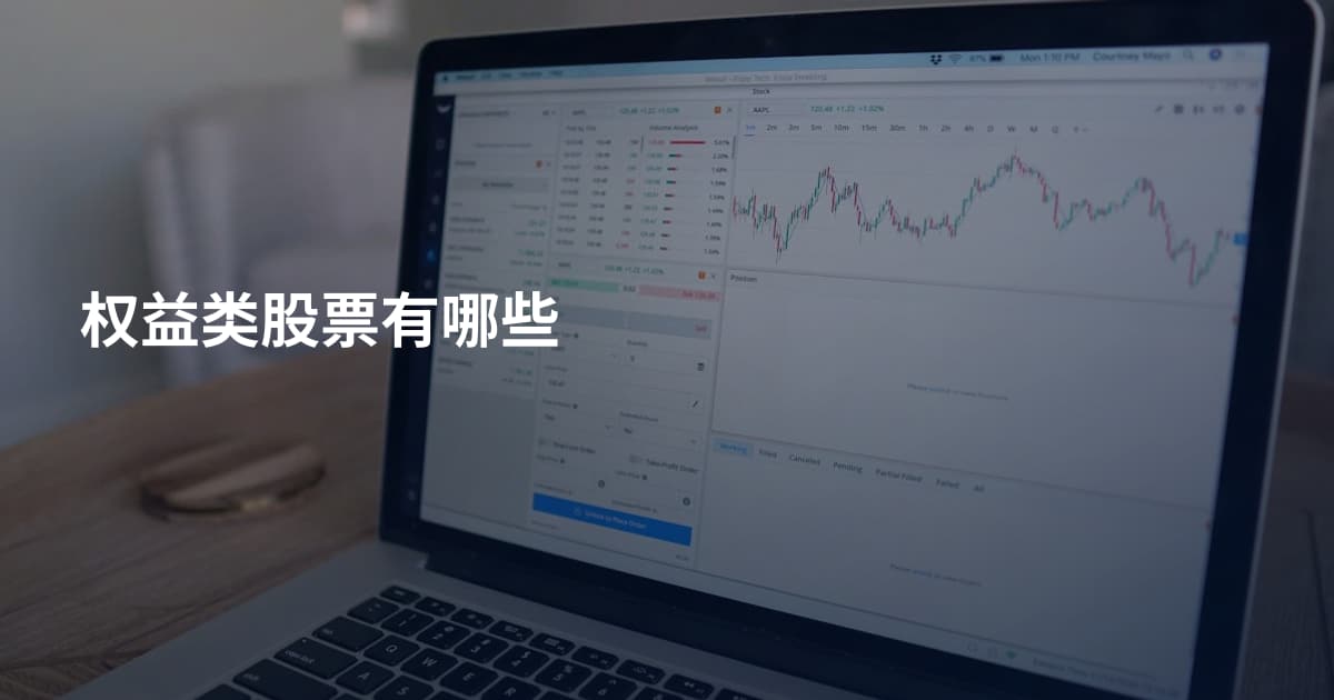 权益类股票有哪些